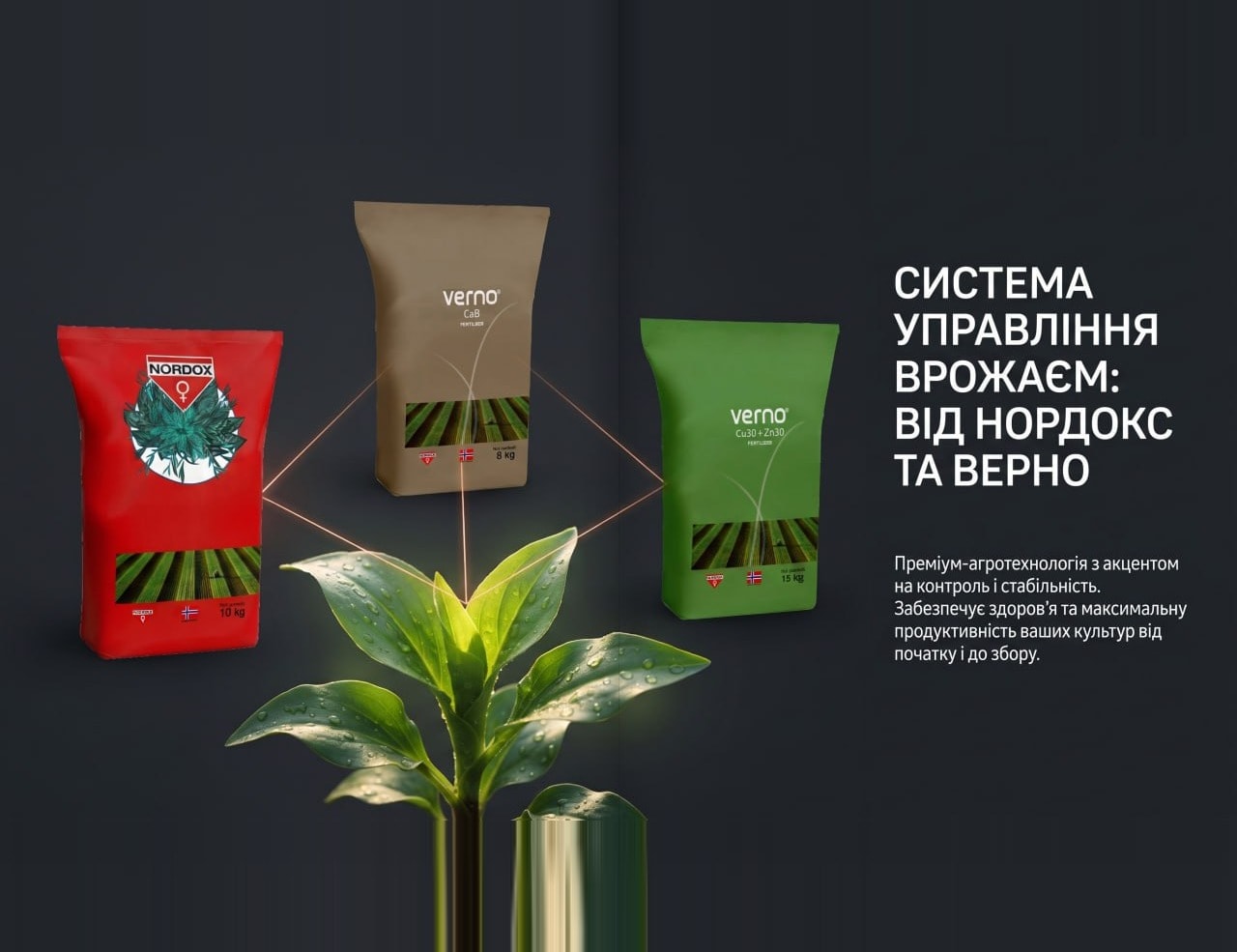 Сад восени: рахуємо не обробки, а бруньки, які переживуть зиму