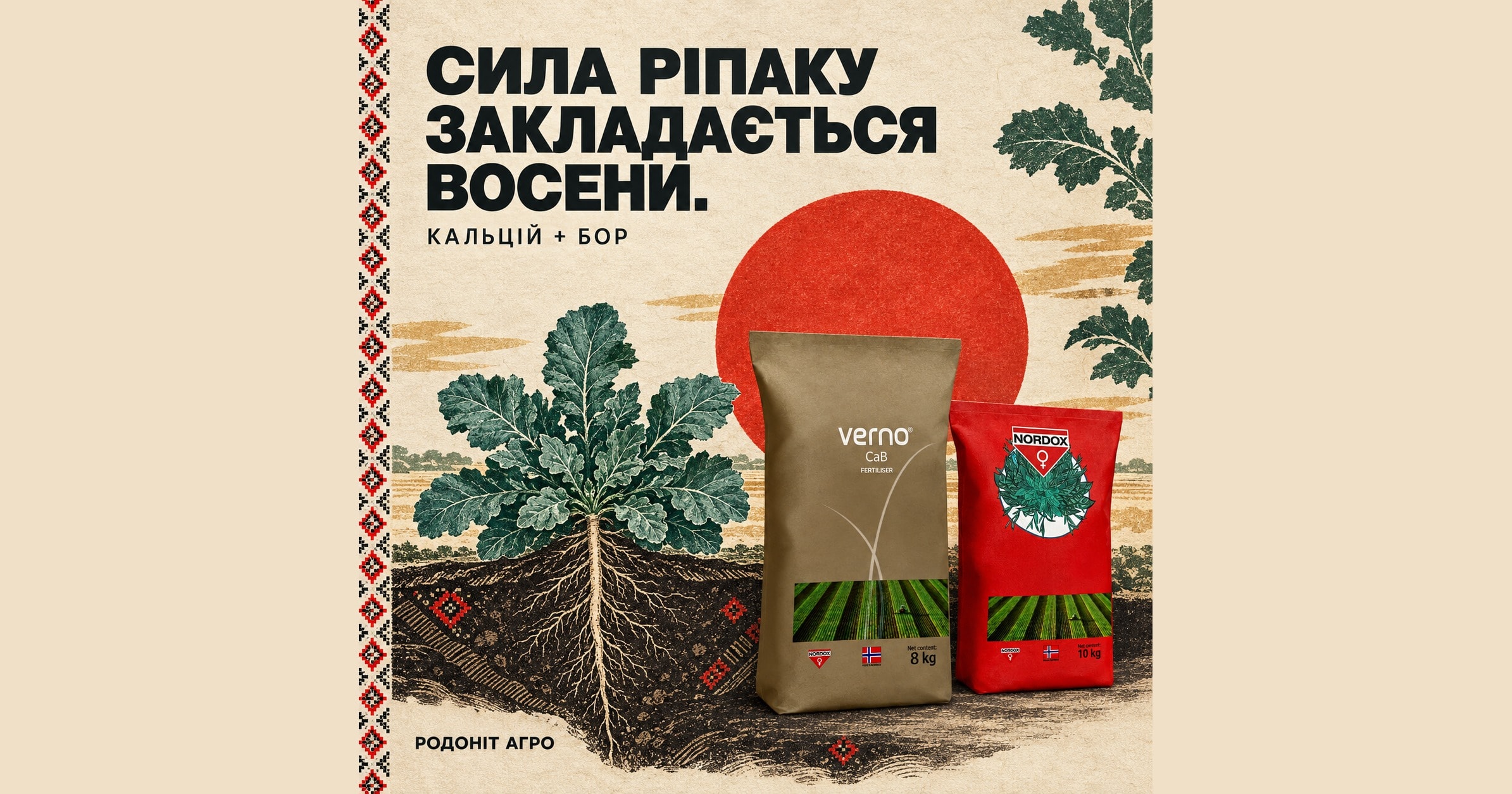Верно СаВ і Нордокс 75 WG поруч з озимим ріпаком із розвиненим коренем